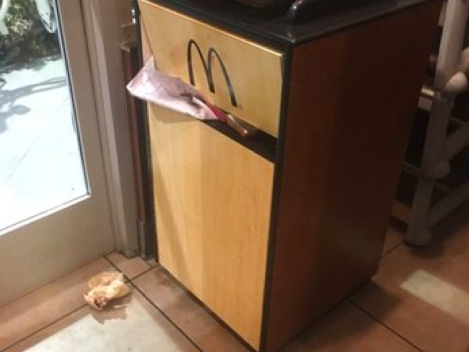 Why Touchless Trash Cans Cost $200 (And How a $10 Solution Works Better)